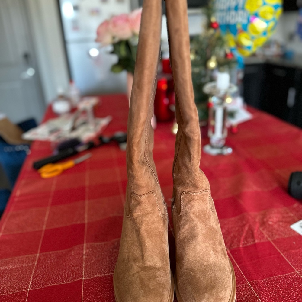 Brown Suede Women's Boots